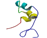 Cysteine Rich Secretory Protein 3 (CRISP3)