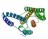 Cytochrome C Oxidase Subunit III (COX3)