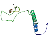 Cytochrome C Oxidase Subunit VIa (COX6a)
