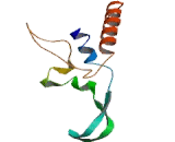 Cytochrome P450 11A1 (CYP11A1)