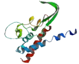 Cytochrome P450 27A1 (CYP27A1)