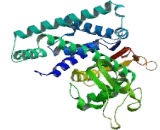 Cytochrome P450 2C18 (CYP2C18)