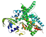 Cytochrome P450 46A1 (CYP46A1)