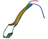 Cytoplasmic Antiproteinase 3 (CAP3)