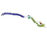 Cytosolic Ovarian Carcinoma Antigen 1 (COVA1)