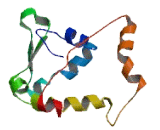 D-amino Acid Oxidase Activator (DAOA)