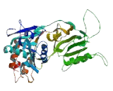 DEAH Box Polypeptide 15 (DHX15)