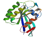 DIRAS Family, GTP Binding RAS Like 1 (DIRAS1)