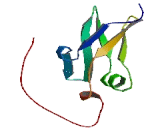DPH3, KTI11 Homolog (DPH3)