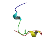 Defensin Beta 106 (DEF<b>b106</b>)