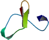 Defensin Beta 132 (DEF<b>b132</b>)