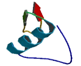 Defensin Beta 134 (DEF<b>b134</b>)