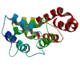 Deiodinase, Iodothyronine, Type I (DIO1)