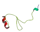 Desmoglein 1 (DSG1)