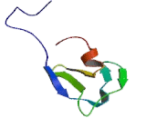 Diacylglycerol Kinase Epsilon (DGKe)