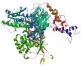 Dihydropyrimidine Dehydrogenase (DPYD)