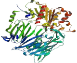 Cluster Of Differentiation 26 (CD26)