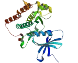 Discs Overgrown Protein Kinase (DCO)