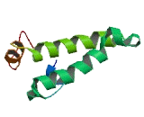 DnaJ/HSP40 Homolog Subfamily B, Member 3 (DNAJB3)