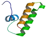 DnaJ/HSP40 Homolog Subfamily C, Member 15 (DNAJC15)