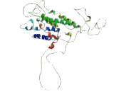 Dopamine Receptor D2 (DRD2)