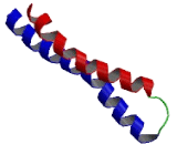 Dopamine Receptor D4 (DRD4)