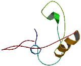 Downregulated In Multiple Cancer 1 (DMC1)