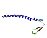 E2F Transcription Factor 1 (E2F1)