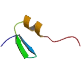 E4F Transcription Factor 1 (E4F1)