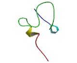 Ectonucleotide Pyrophosphatase/Phosphodiesterase 1 (ENPP1)