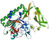 Ectonucleotide Pyrophosphatase/Phosphodiesterase 6 (ENPP6)