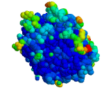 Elastase (Ela)