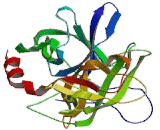 Chymotrypsin C (CTRC)