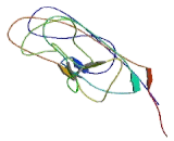 Elastin Microfibril Interface Located Protein 1 (EMILIN1)