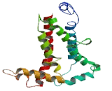 Elongation Of Very Long Chain Fatty Acids Like Protein 1 (ELOVL1)