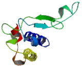 Elongation Of Very Long Chain Fatty Acids Like Protein 5 (ELOVL5)