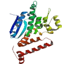 Enoyl Coenzyme A Hydratase Domain Containing Protein 3 (ECHDC3)