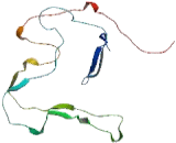 Estrogen Receptor Binding Site Associated Antigen 9 (EBAG9)