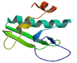 Eukaryotic Elongation Factor 2 Kinase (EEF2K)