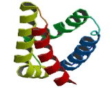 Serine/threonine-protein kinase mTOR (mTOR)