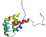 Factor Related Apoptosis (FAS)