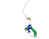 Family With Sequence Similarity 155, Member A (FA<b>M155</b>A)