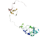 Family With Sequence Similarity 155, Member B (FA<b>M155</b>B)