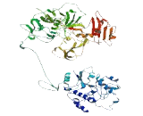 Family With Sequence Similarity 171, Member A1 (FA<b>M171</b>A1)