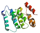Family With Sequence Similarity 177, Member B (FAM177B)