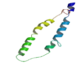 Family With Sequence Similarity 180, Member B (FAM180B)