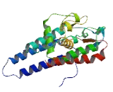 Family With Sequence Similarity 192, Member A (FA<b>M192</b>A)