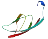 Family With Sequence Similarity 5, Member C (FAM5C)