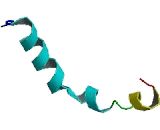 Family With Sequence Similarity 90, Member A22 (FAM90A22)