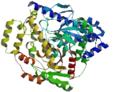 Fatty Acid Amide Hydrolase (FAAH)